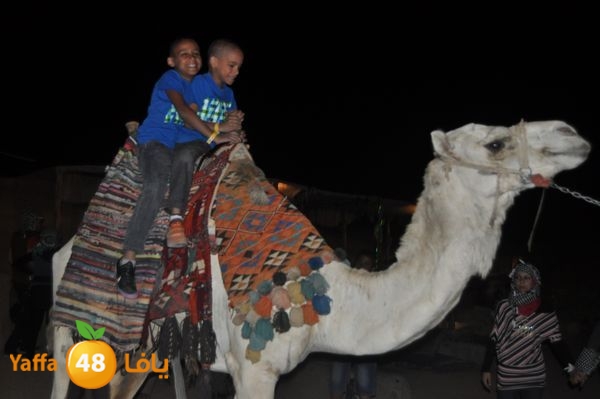 sharmelskhe8634 (6).jpg